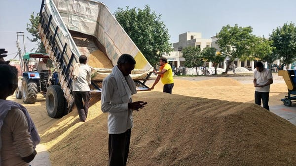 4,764 quintals of PR paddy arrived at the mandi; 94 gate passes issued.
