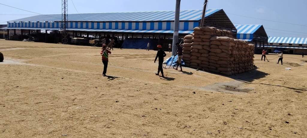 Procurement began in the markets the following day; 973.39 MT of paddy was procured across three markets.