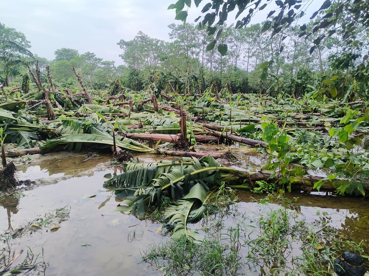 Sitapur News: अतिवृष्टि से 7739 हेक्टेयर फसल बर्बाद, तेज हुआ सर्वे