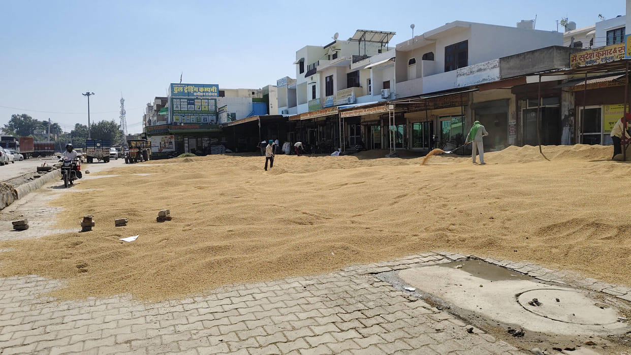 The pace of procurement in the markets is slow, only 81.60 MT of paddy has been sold so far.