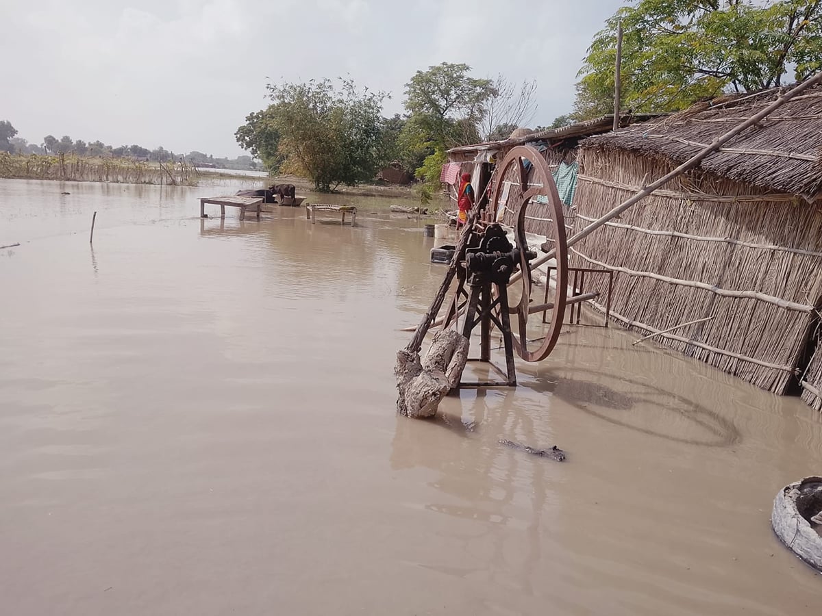 Ballia News: गंगा-सरयू की धारा उफनाई, 40 से अधिक गांव खतरे में, सुधर-उदई छपरा बाढ़ से घिरे