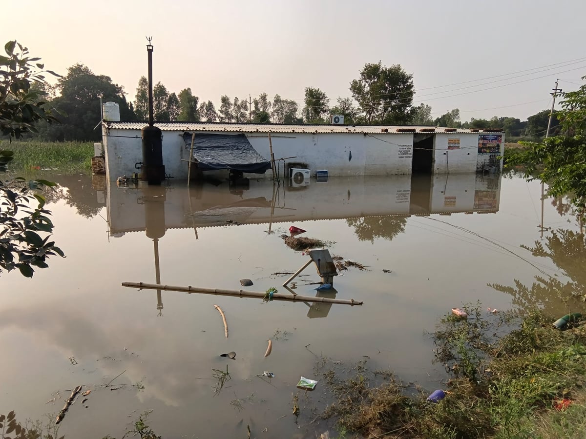 Farrukhabad News: नाला चोक, डेयरी में घुसा पानी