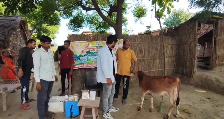 Ghazipur News: लंपी से बचाव के लिए 18 हजार गोवंश का हुआ टीकाकरण