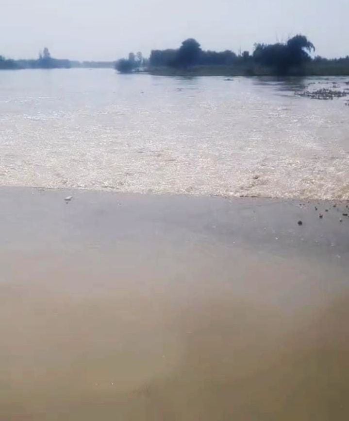 Budaun News: वीर सहाय नगला में गंगा में समाए खेत... आबादी के करीब धारा