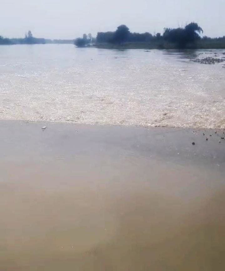Fields in Veer Sahay Nagla swallowed by the Ganga... river current close to the settlement.