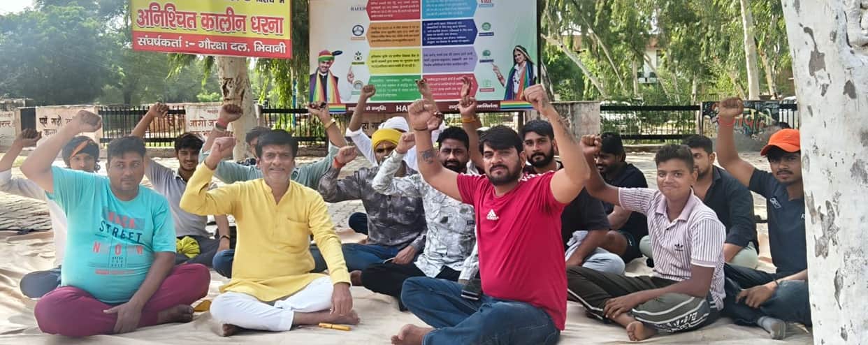 Cow protection group stages protest over donkey's death, demands action.
