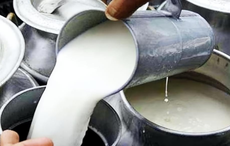 उज्जैन: त्योहारी सीजन में मंहगाई की मार, 4 रुपये बढ़े खुले दूध के दाम, उत्पादन की लागत बढ़ने से लिया फैसला