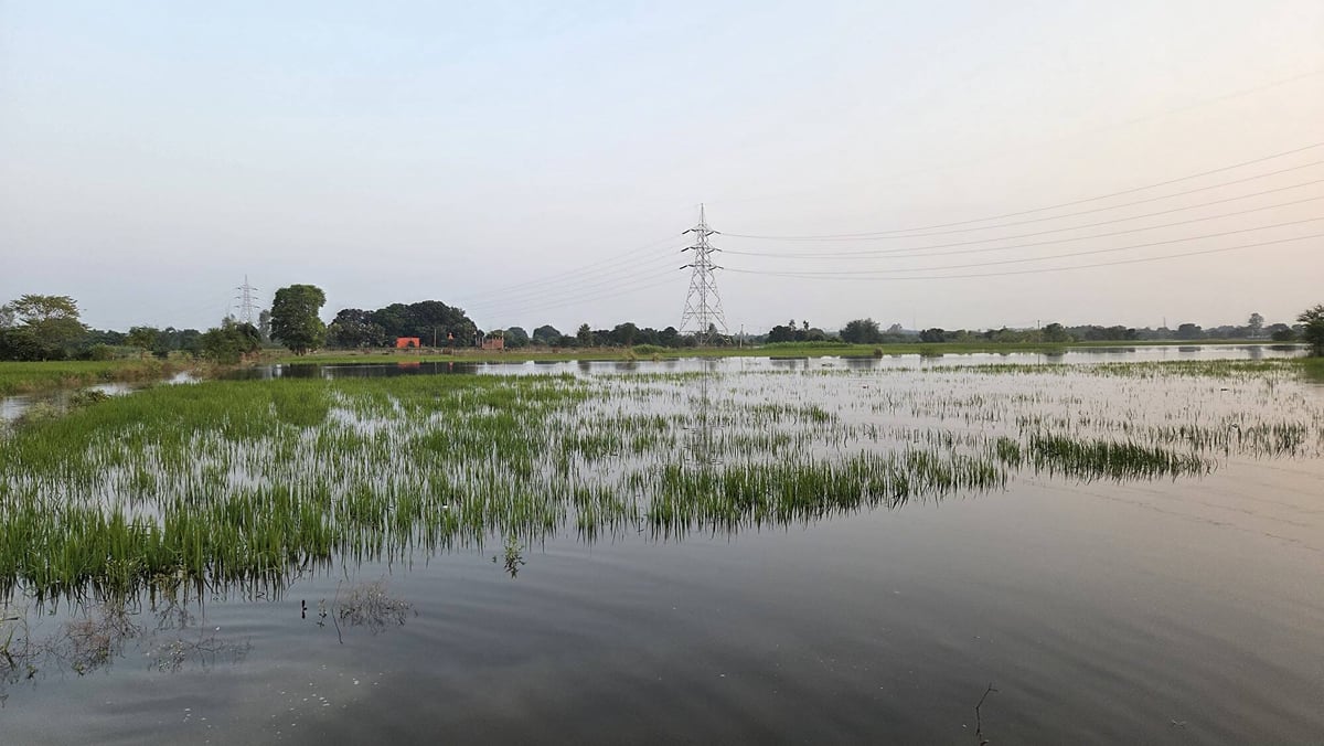 Lucknow News: फैजुल्लागंज में 300 मीटर दायरे को रोज चपेट में ले रही बाढ़