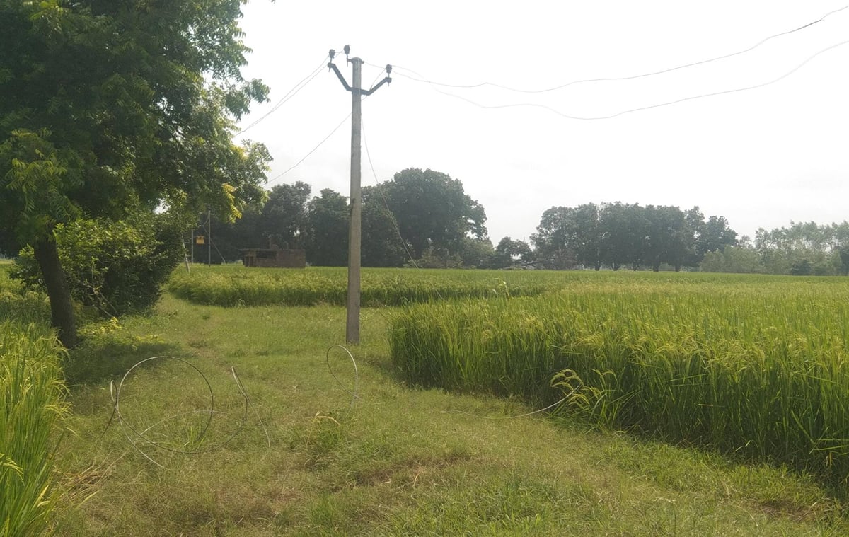 Fatehpur News: 47 दिन से बिजली गुल होने से 10 नलकूप बंद