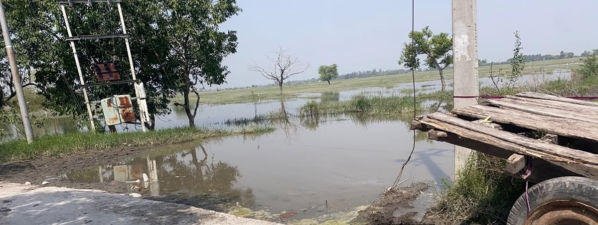 Kasganj News: मुआवजे की सिंचाई से होगी फसलों के नुकसान की भरपाई