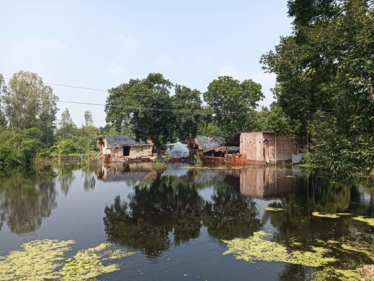 बाढ़ और जलजमाव का संकट : गांवों तक फैला नदियों का पानी, फसलों को भारी नुकसान