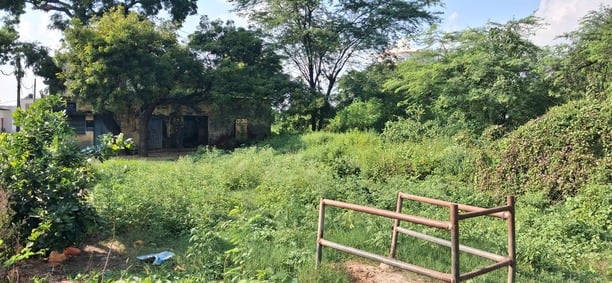 Hathras News: 30 साल से अन देखी का शिकार चंदपा का पशु अस्पताल