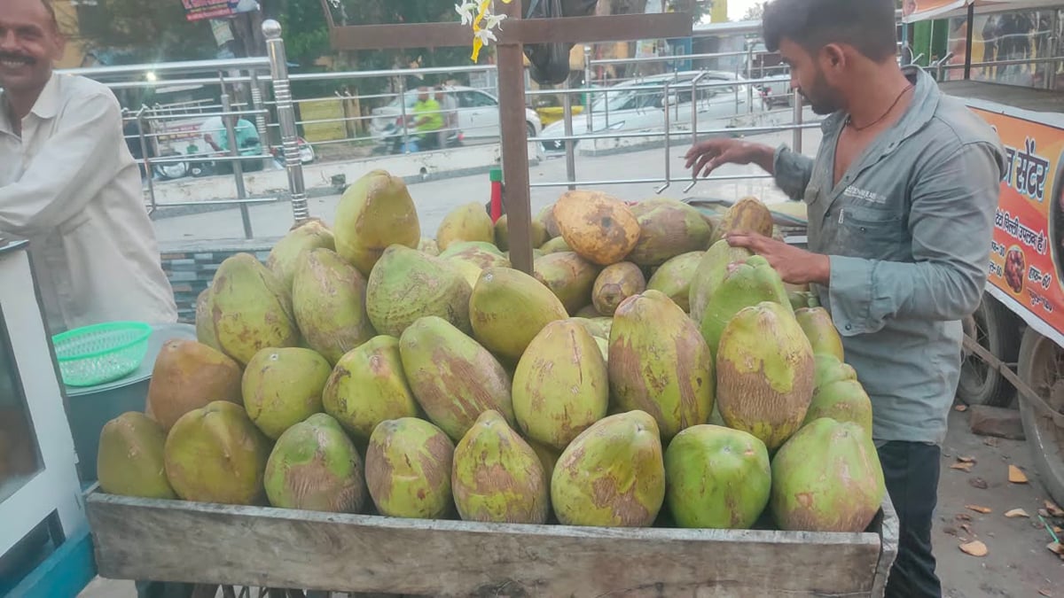 Basti News: वायरल बुखार ने बढ़ाई नारियल पानी की मांग, दाम में उछाल