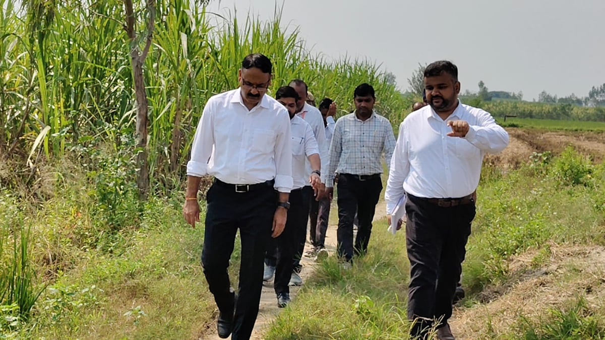 Pilibhit News: जलमग्न फसलों का डीएम ने लिया जायजा