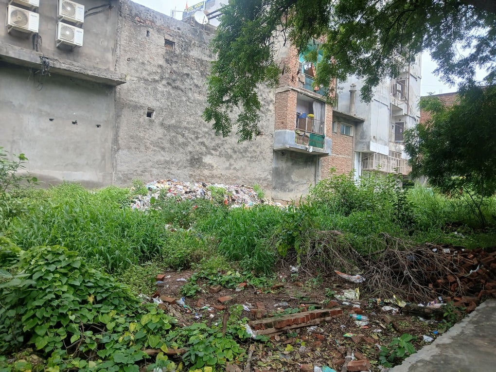 Noida News: कॉलेज में चहारदीवारी नहीं, कूड़े और शराब की बोतलों से छात्र परेशान