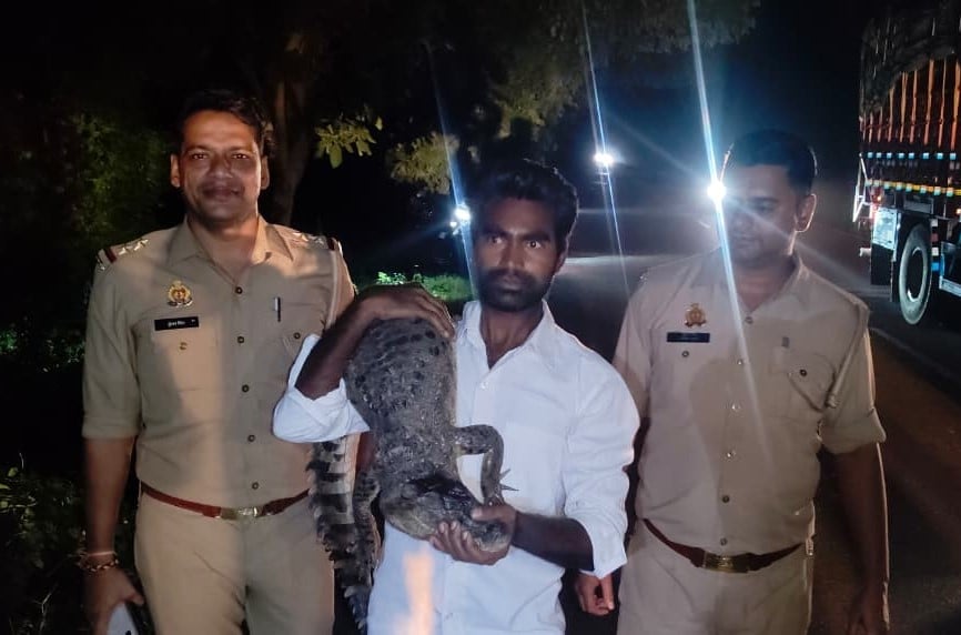 Bulandshahar News: स्टेट हाईवे पर अचानक पहुंचा मगरमच्छ, राहगीरों में मची अफरा तफरी