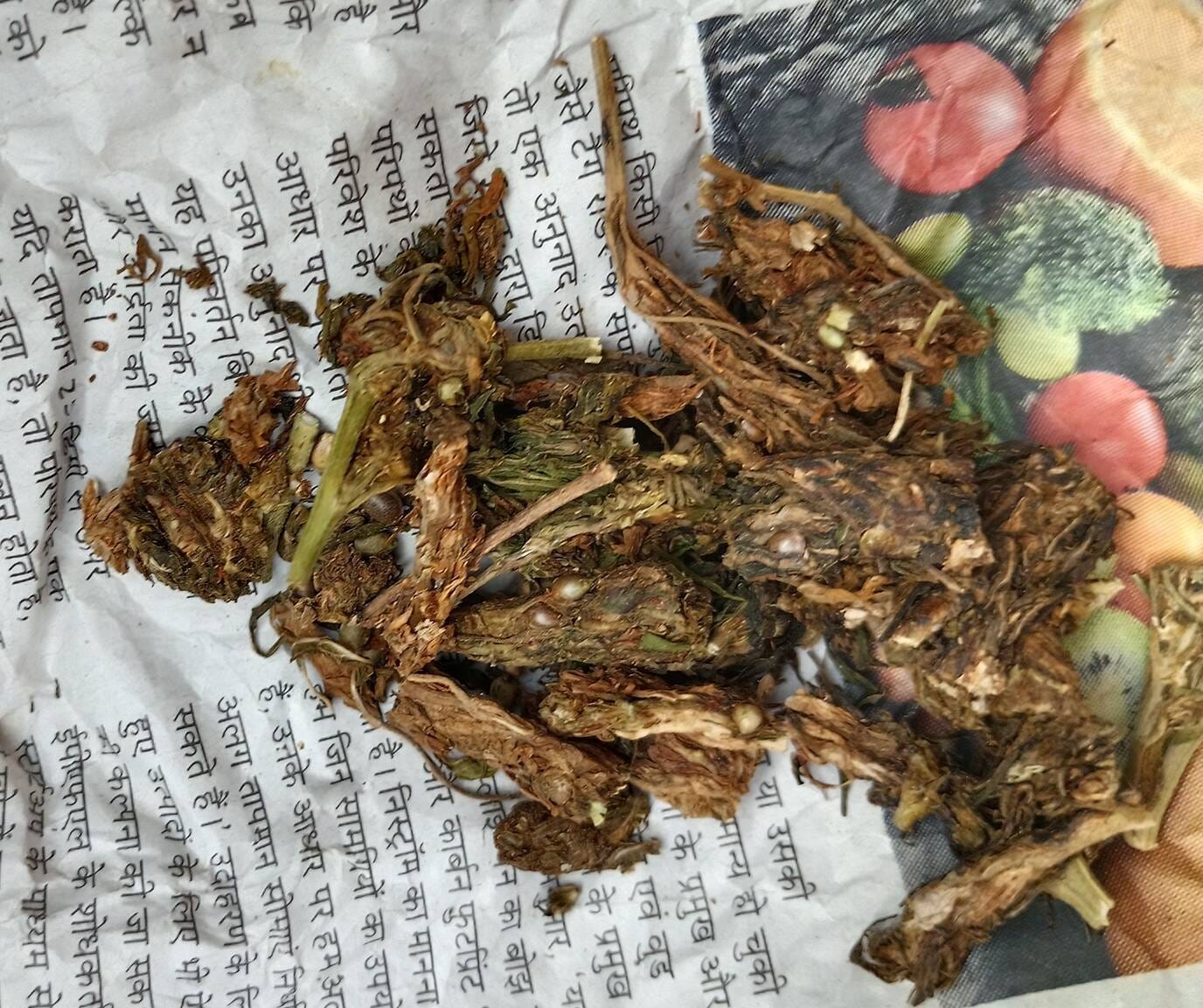 फोटो-02- कल्यानपुर थाना क्षेत्र में खुले आम बिक रहा गांजा।स्रोत