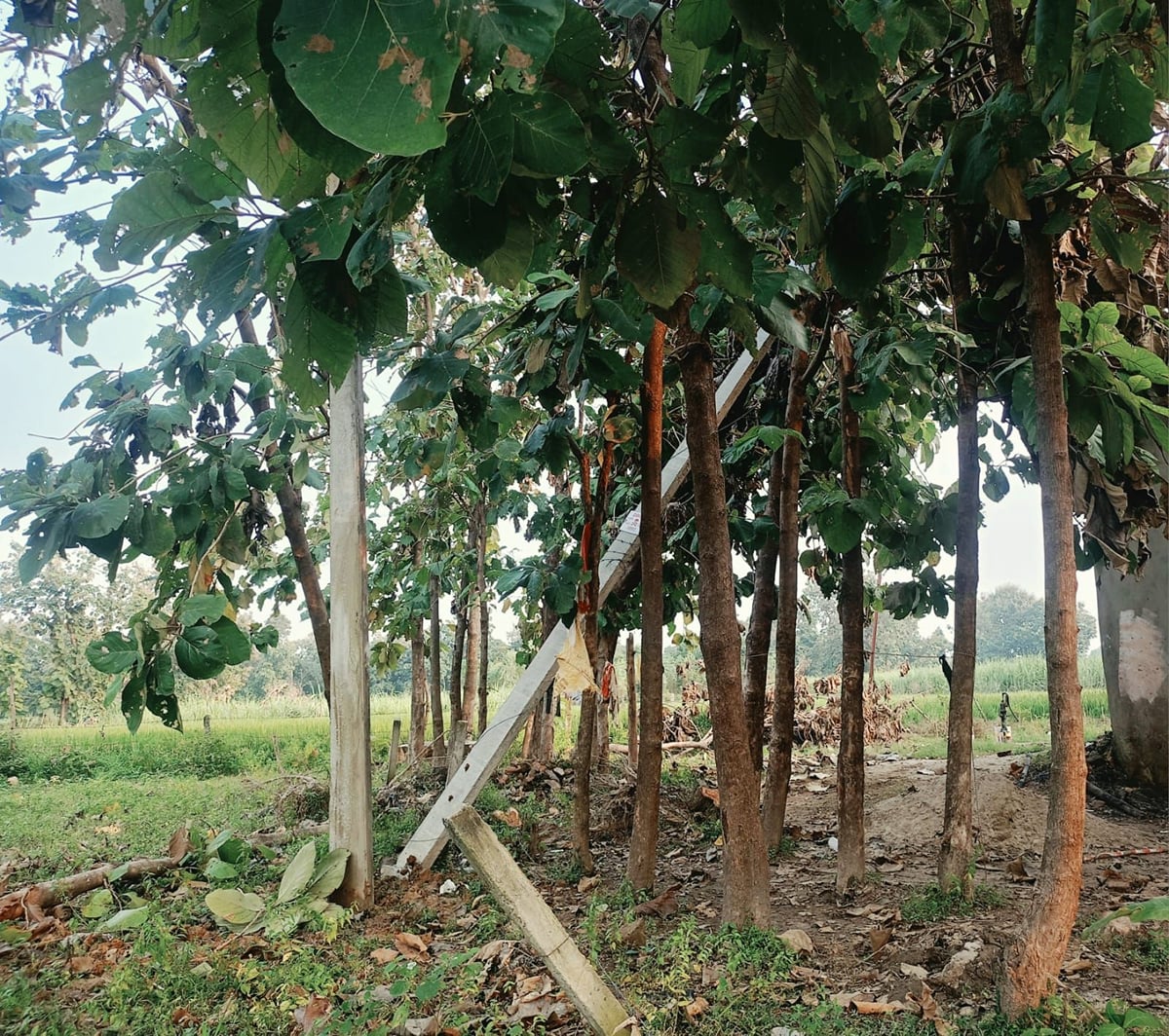 Balrampur News: तराई क्षेत्र के 200 गांवों में बिजली संकट, उपभोक्ताओं का प्रदर्शन