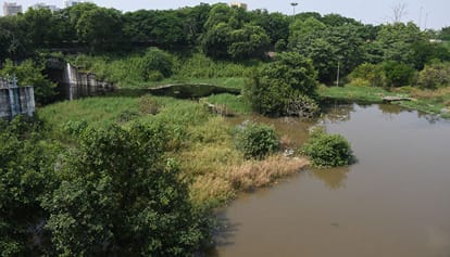 Lucknow: The Gomti river overflowed into homes, parks, and stadiums, flooding Hanuman Dham and Food Valley; ph