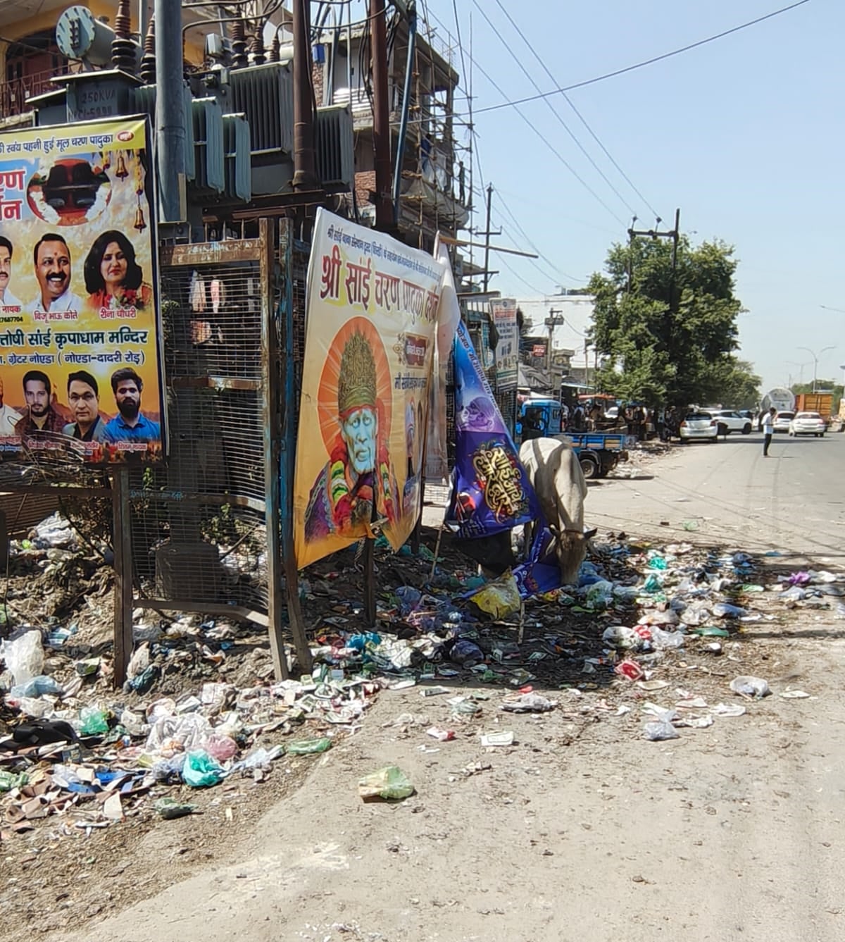 Noida News: सुथ्याना में सड़क बनी कूड़ाघर, पॉलिथीन खा रहीं गायें