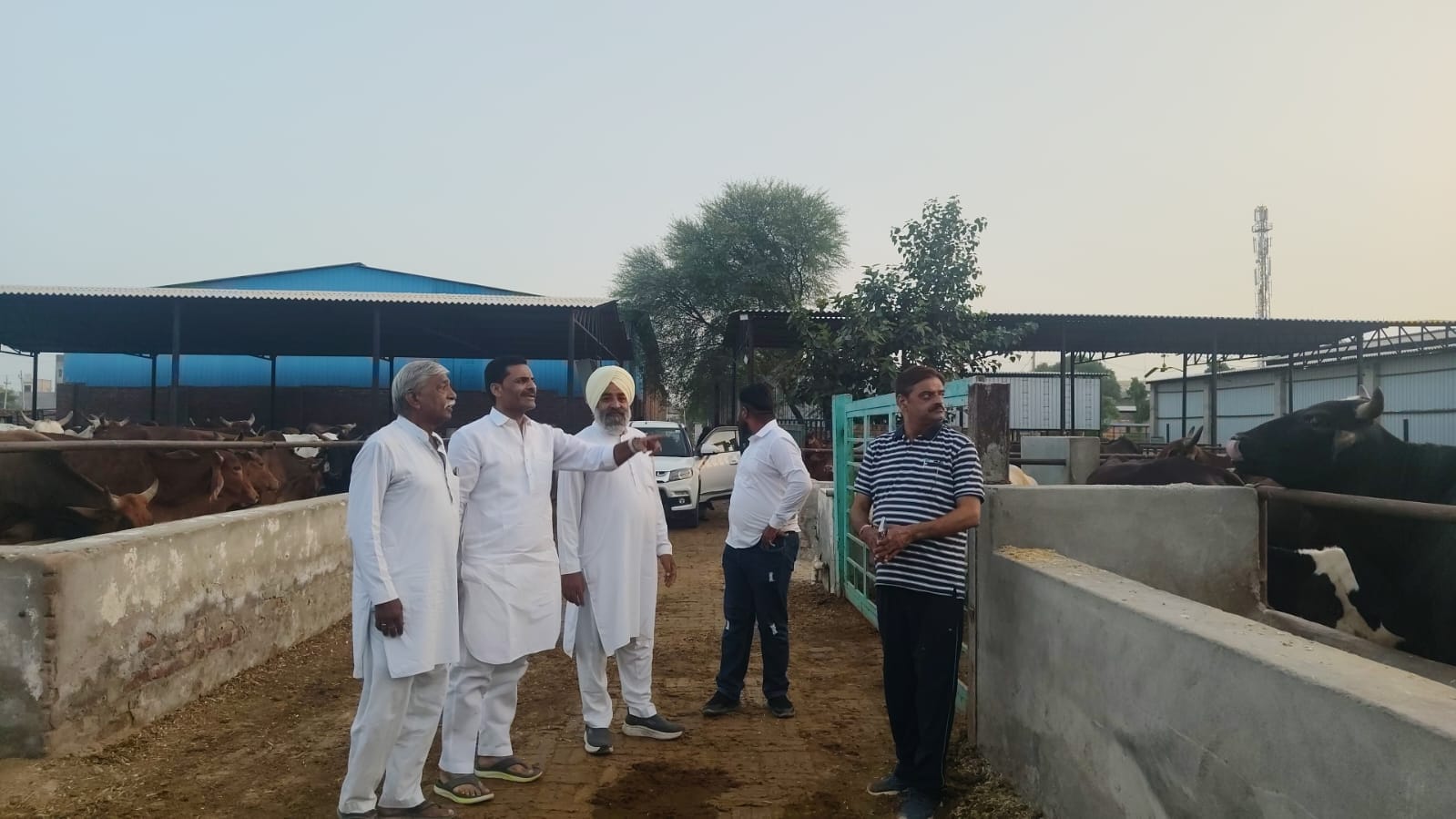 गौशाला में व्यवस्थाओं का निरीक्षण करते गौ सेवा आयोग के चेयरमैन रामचंद्र कंबोज।