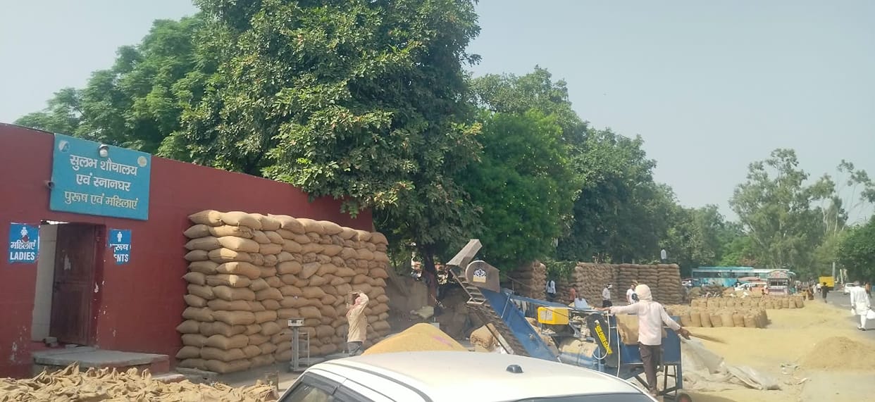 Paddy piled up at Brahma Sarovar; tourists inconvenienced.