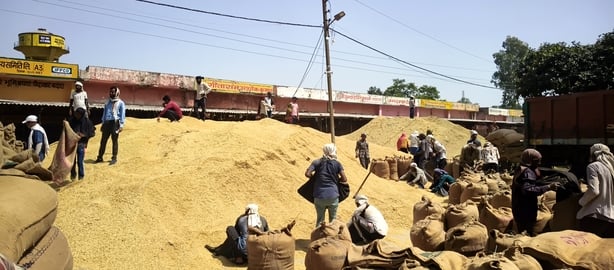 Hathras News: मंडी में बिखरा धान, सड़क पर खड़े वाहन, इंतजार में किसान
