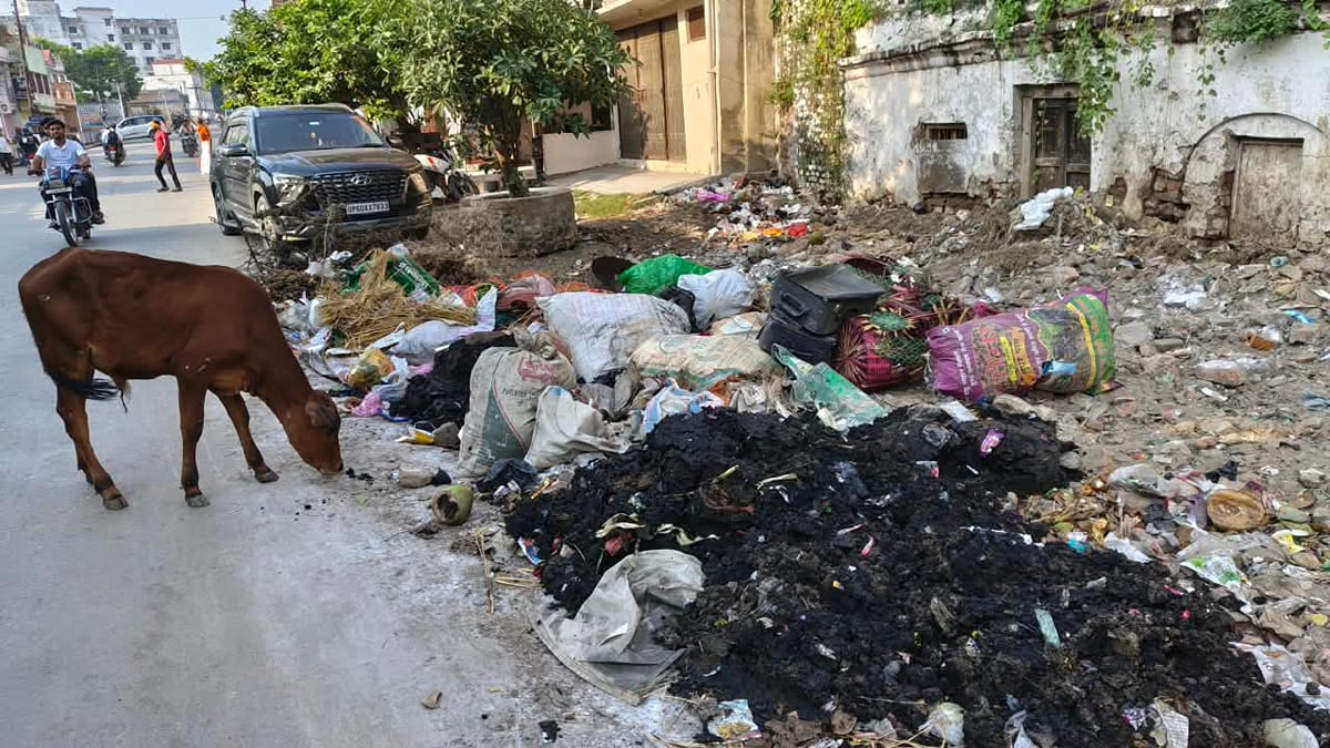 Ballia News: सार्वजनिक स्थानों पर रोक से शहर की सड़कों पर फैला 50 टन कूड़ा