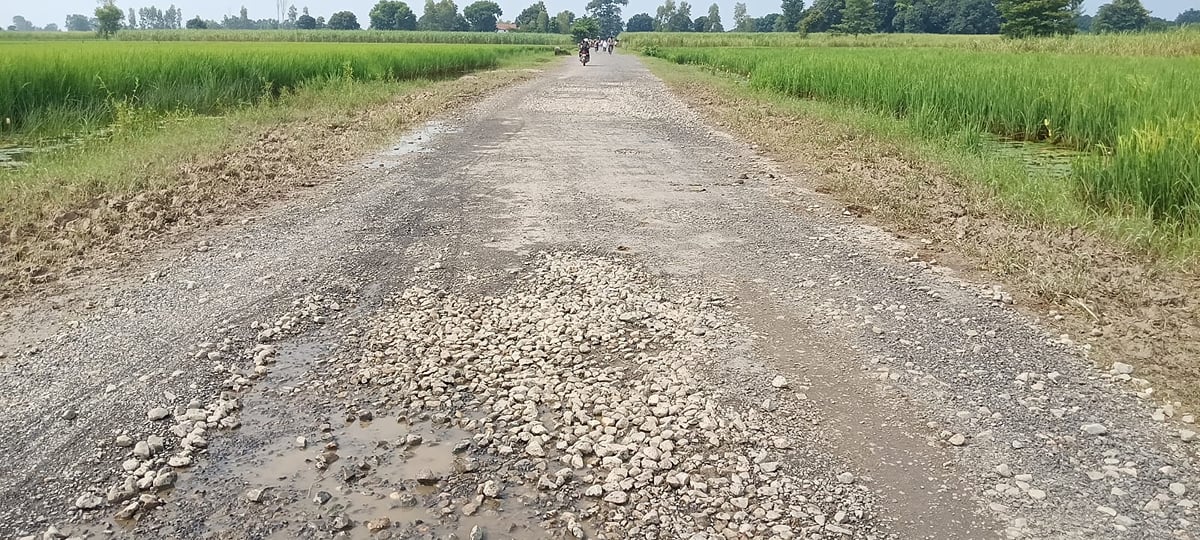 Lakhimpur Kheri News: पांच महीने पहले बनी सड़क, अब मरम्मत की नौबत