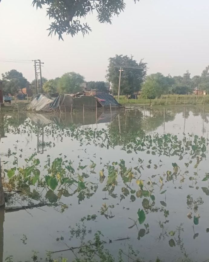 Budaun News: जलस्तर कम होने के साथ ही बर्बादी के निशान छोड़ती जा रही है रामगंगा