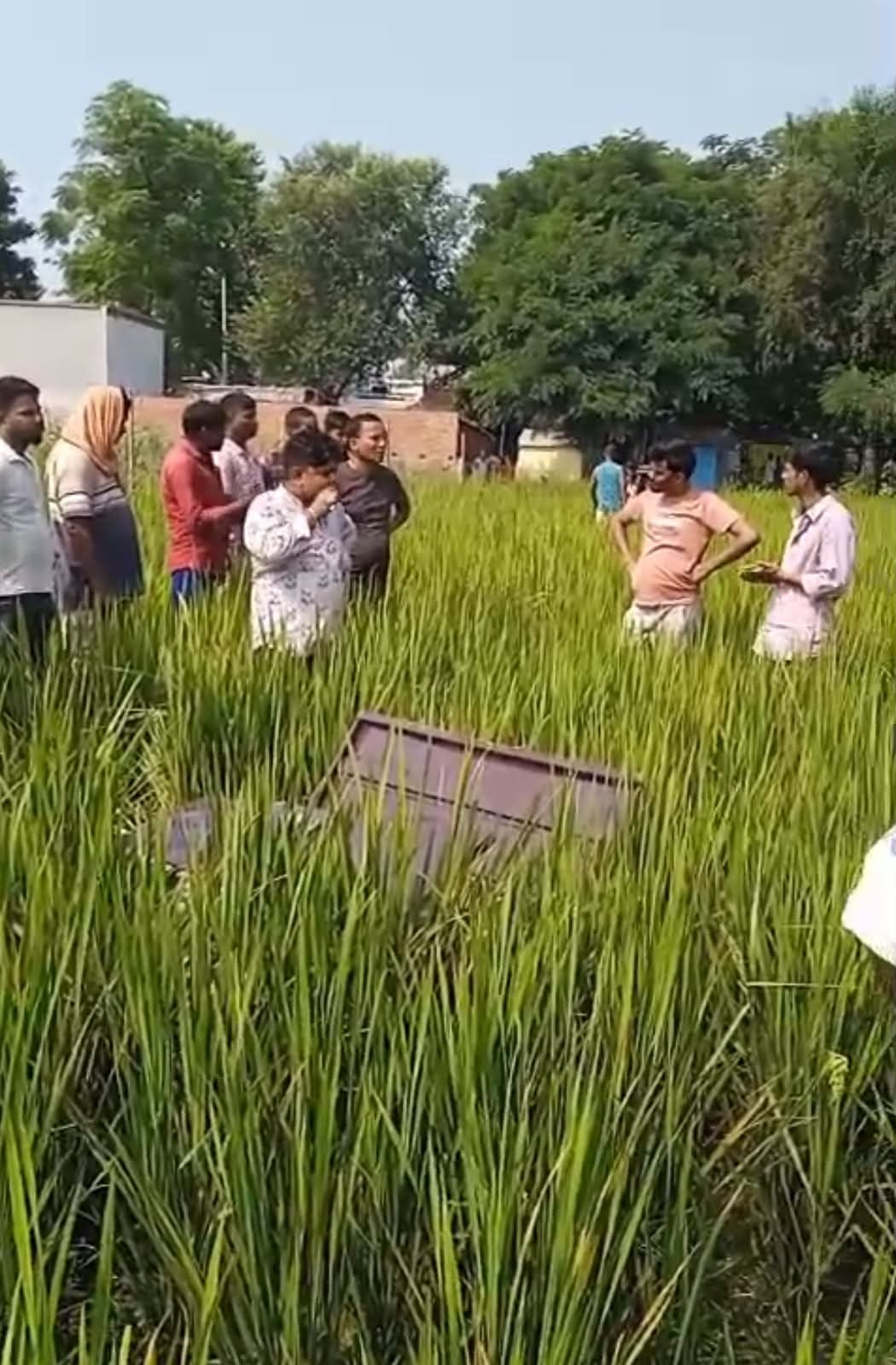 Ballia News: खेत में मिली टूटी अलमारी, सराफा की दुकान से आभूषण नकदी चोरी