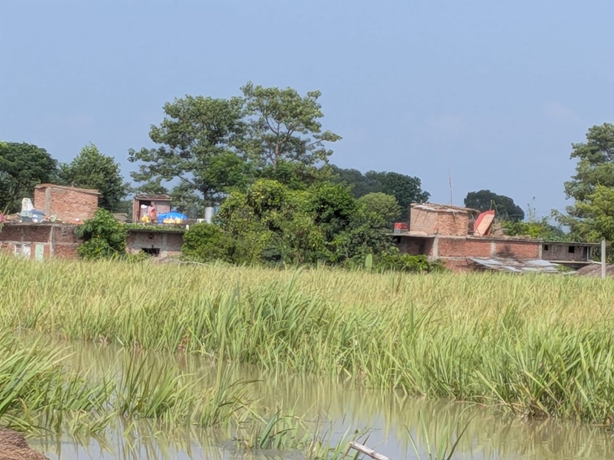 Maharajganj News: पानी में डूबी गन्ना की फसल, घट सकती है मिठास