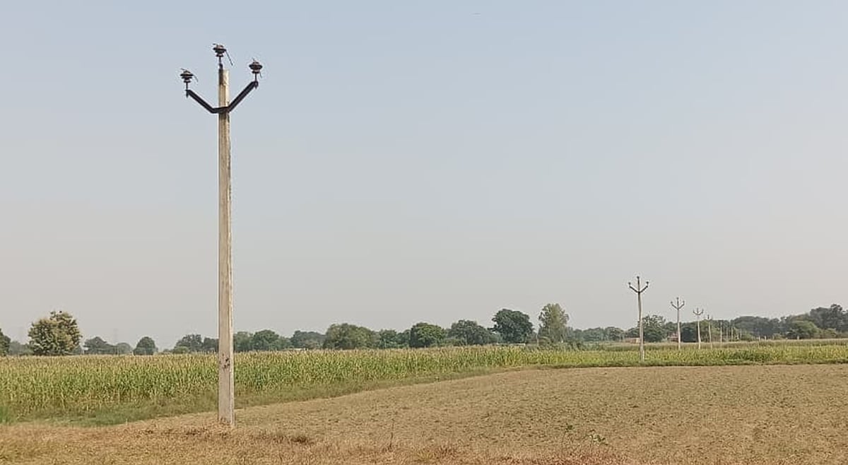 Fatehpur News: मौहार में 11 खंभों से तीन किलोमीटर तक के तार चोरी