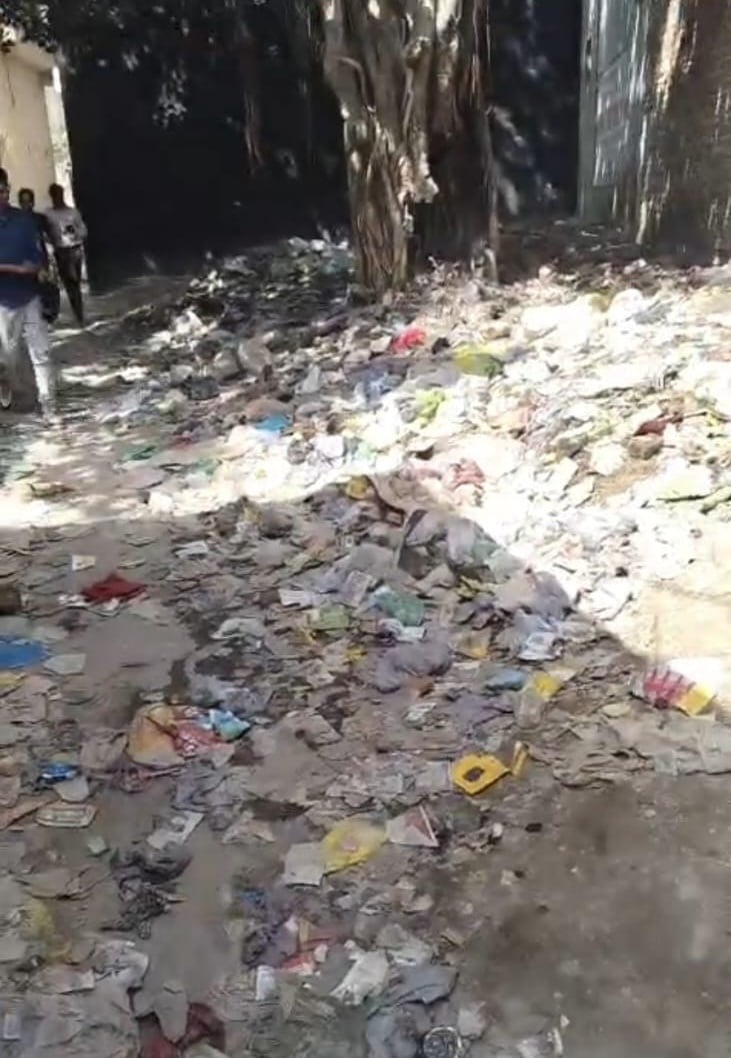 Noida News: हबीबपुर गांव में गंदगी से ग्रामीण परेशान