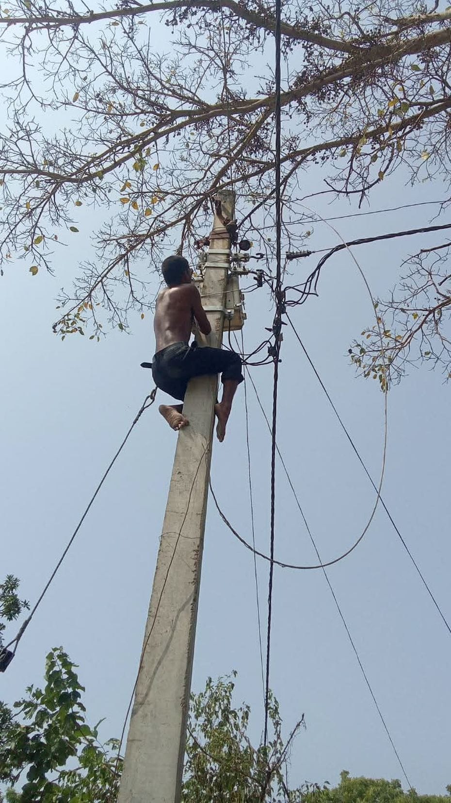 हुजूरपुर में विद्युत लाइन सही करता कर्मचारी।