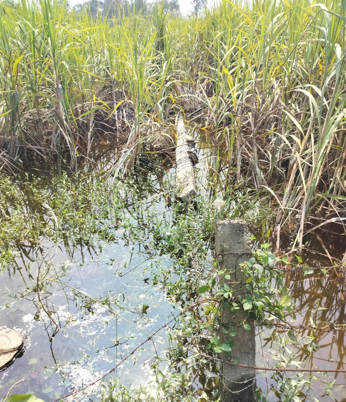 Barabanki News: बेलहरा के 25 गांवों में 14 दिन से बिजली गुल