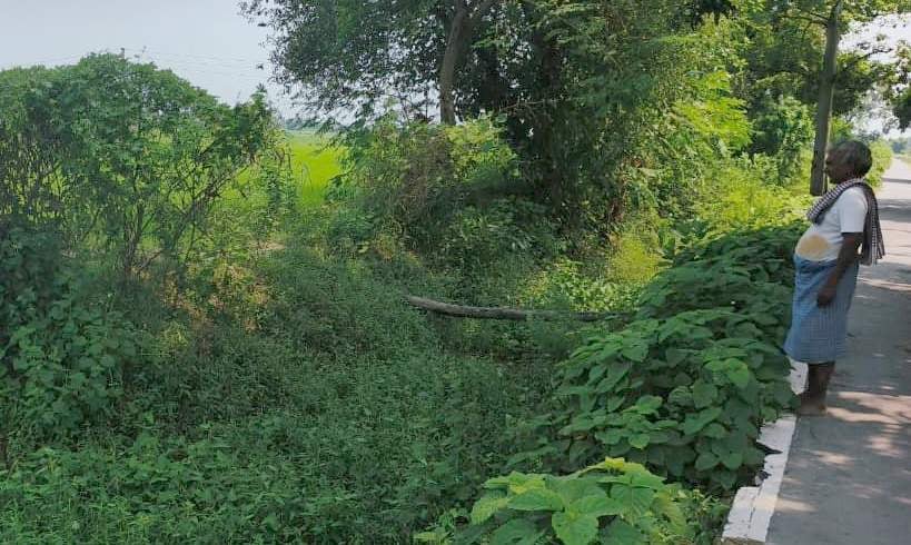 Chandauli News: बल्ली के सहारे पार करते हैं नहर, अब 65 लाख से बनेगा लघु सेतु