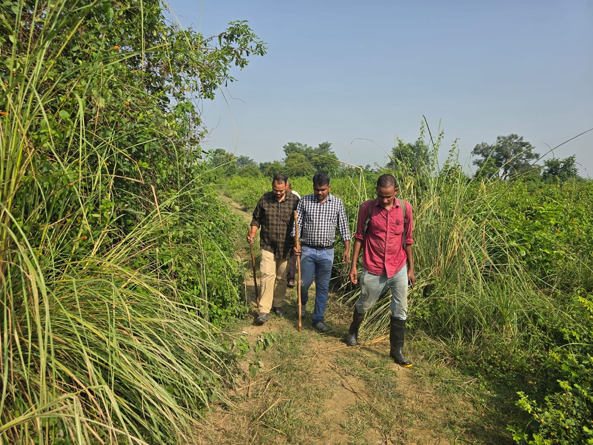 Sitapur News: बाघिन और तंदुए की माैजूदगी से दहशत