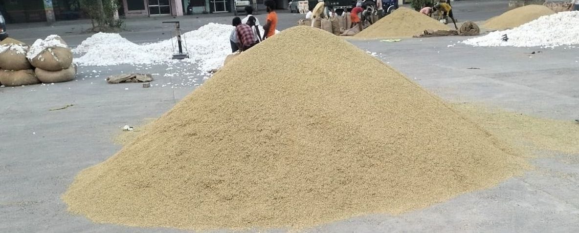 05जेएनडी18:शहर की अनाजमंडी में लगी धान की ढेरी। संवाद