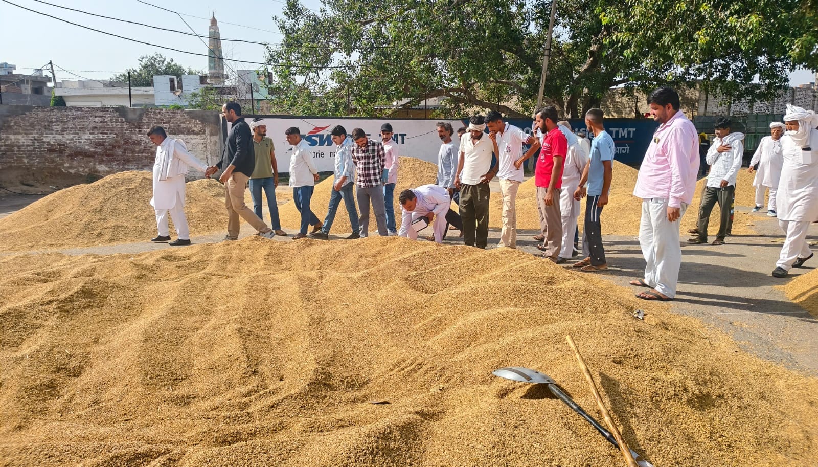 05उचाना01 : उचाना मंडी में धान में नमी चेक करते मार्केट कमेटी, फूड सप्लाई विभाग के अधिकारी व मौ