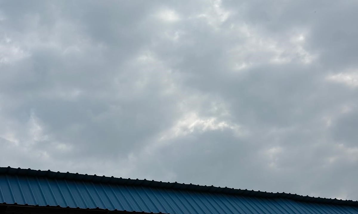 Bhadohi News: शाम को 40 किमी की रफ्तार से चली हवा से राहत