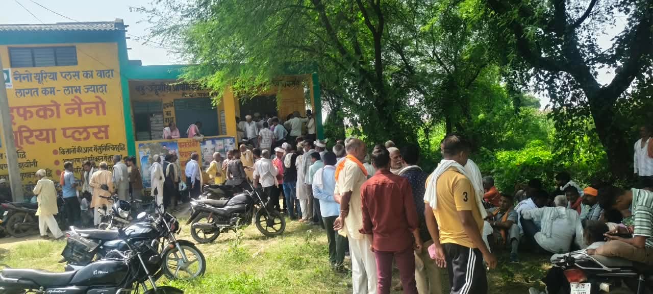 500 farmers arrived at the society to procure DAP; half returned empty-handed.