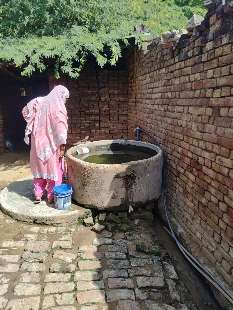 लार्वा की जांच करते विभाग की टीम। संवाद