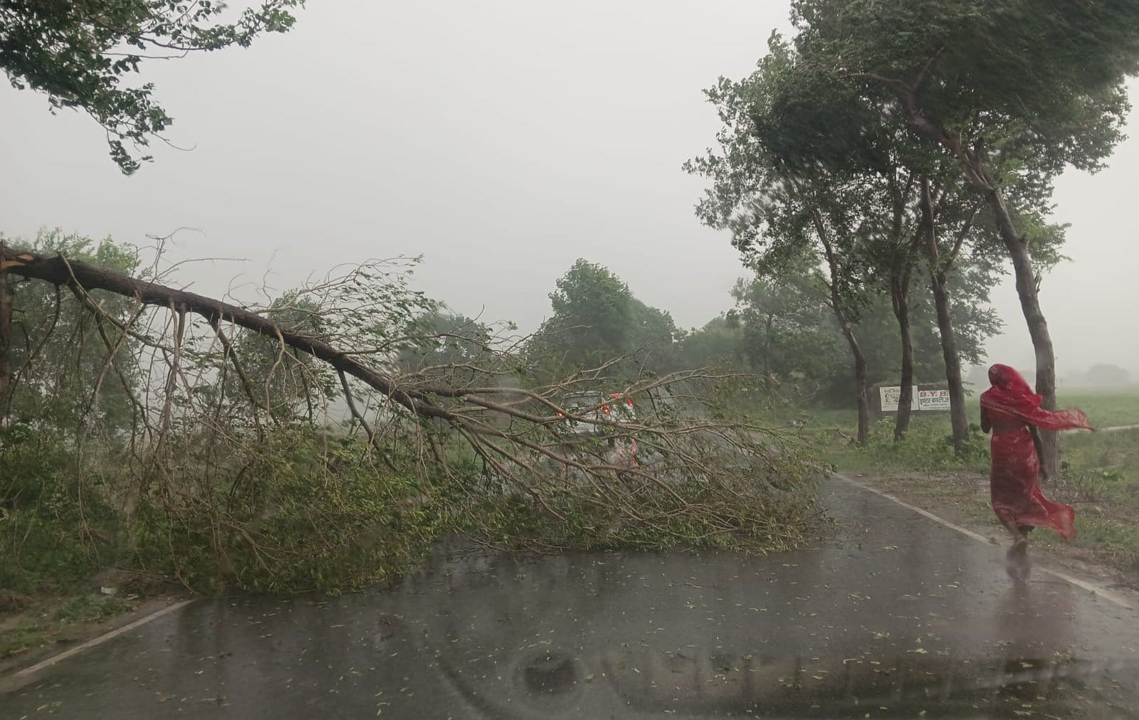 मंगरौरा क्षेत्र में हुई जोरदार बारिश। संवाद