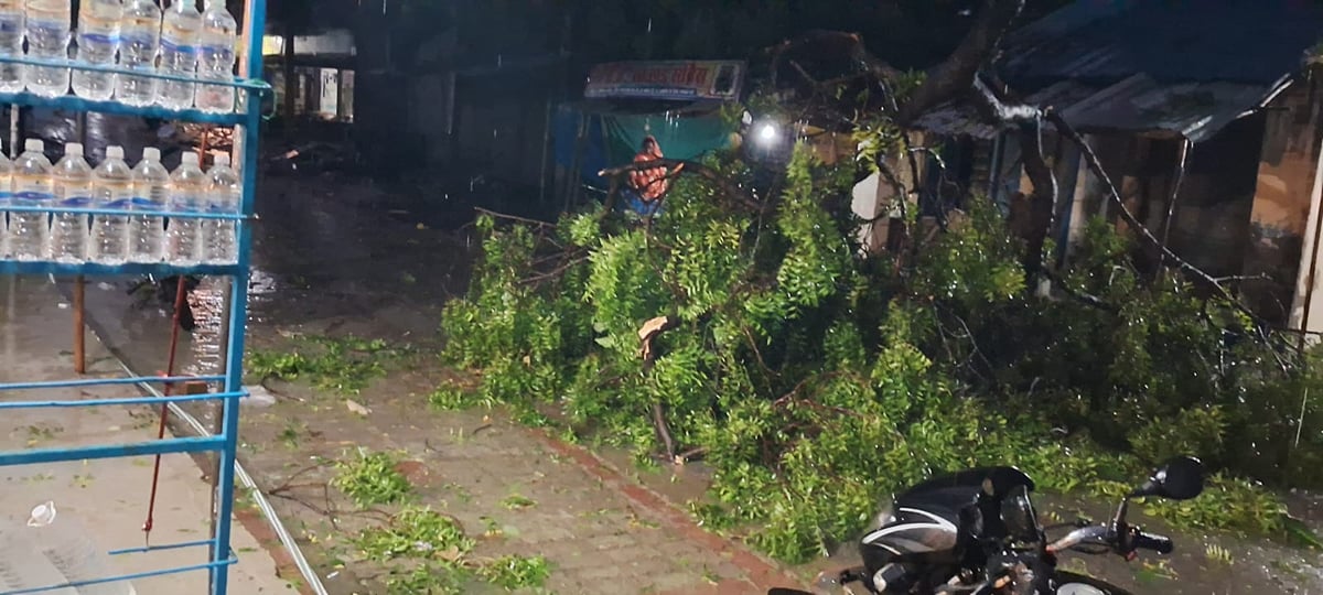 Ghazipur News: नीम की डाल गिरने से आवागमन एक घंटे बाधित