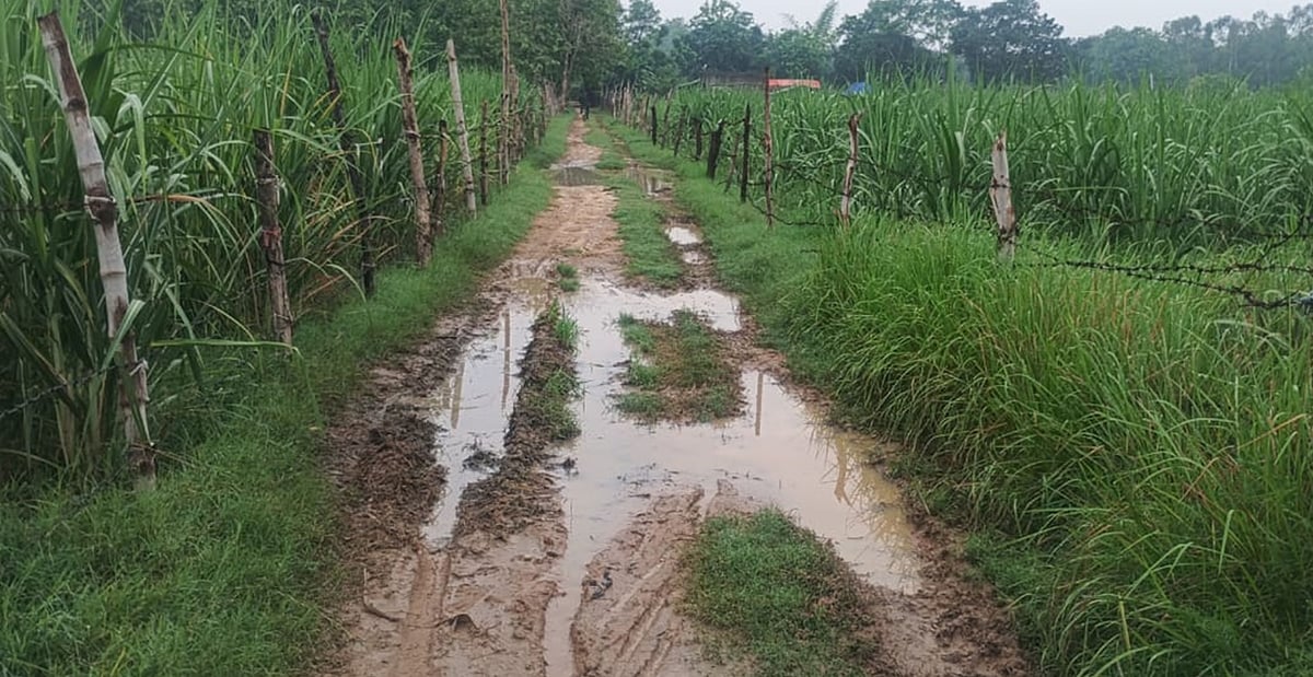 Balrampur News: हाईकोर्ट के आदेश पर नहीं बना चकमार्ग, डीपीआरओ के खिलाफ वारंट