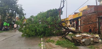 फोटो-36-बरदौलिया बाजार में सड़क पर गिरा नीम का पेड़ व तार टूटा तार।-संवाद