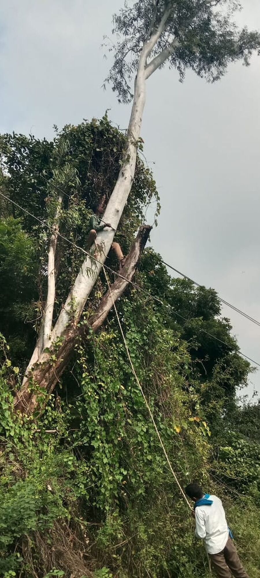 Sultanpur News: आंधी-बारिश से बिजली गुल, तीन लाख लोग बेहाल