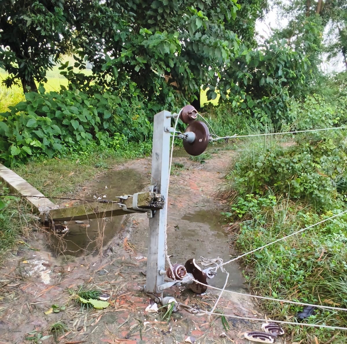 Ambedkar Nagar News: बारिश में 15 गांवों की बिजली गुल