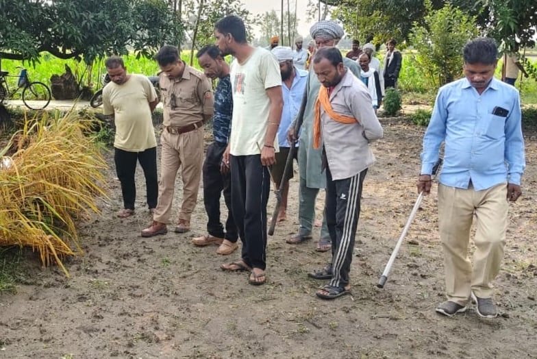 Lakhimpur Kheri News: खूंटे से बंधी गाय को बाघ ने मारा, बैल को भी खेत में खींच ले गया
